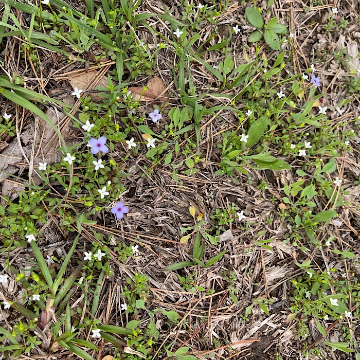Pictures from Dry Creek Water Park in Mt Olive, Mississippi