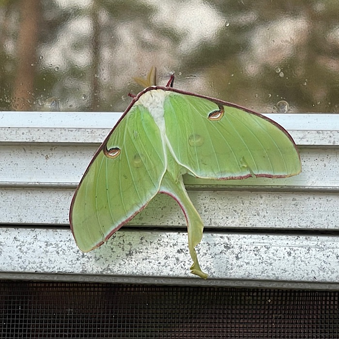 Pictures from Dry Creek Water Park in Mt Olive, Mississippi