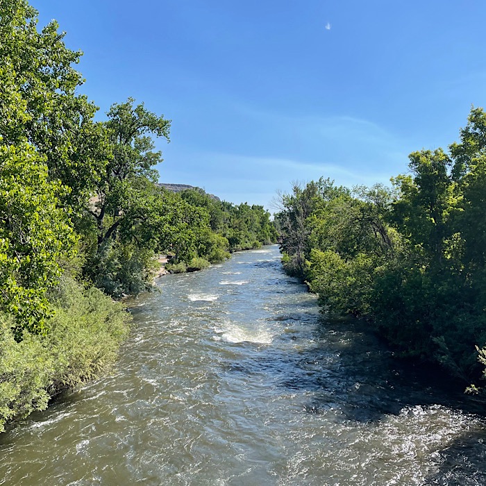 Walking West on the Clear Creek Trail from Golden, CO – Blackberry